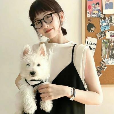 飞吧，冰上之光